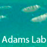 AdamsAgingLab