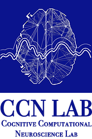 CCN_logo